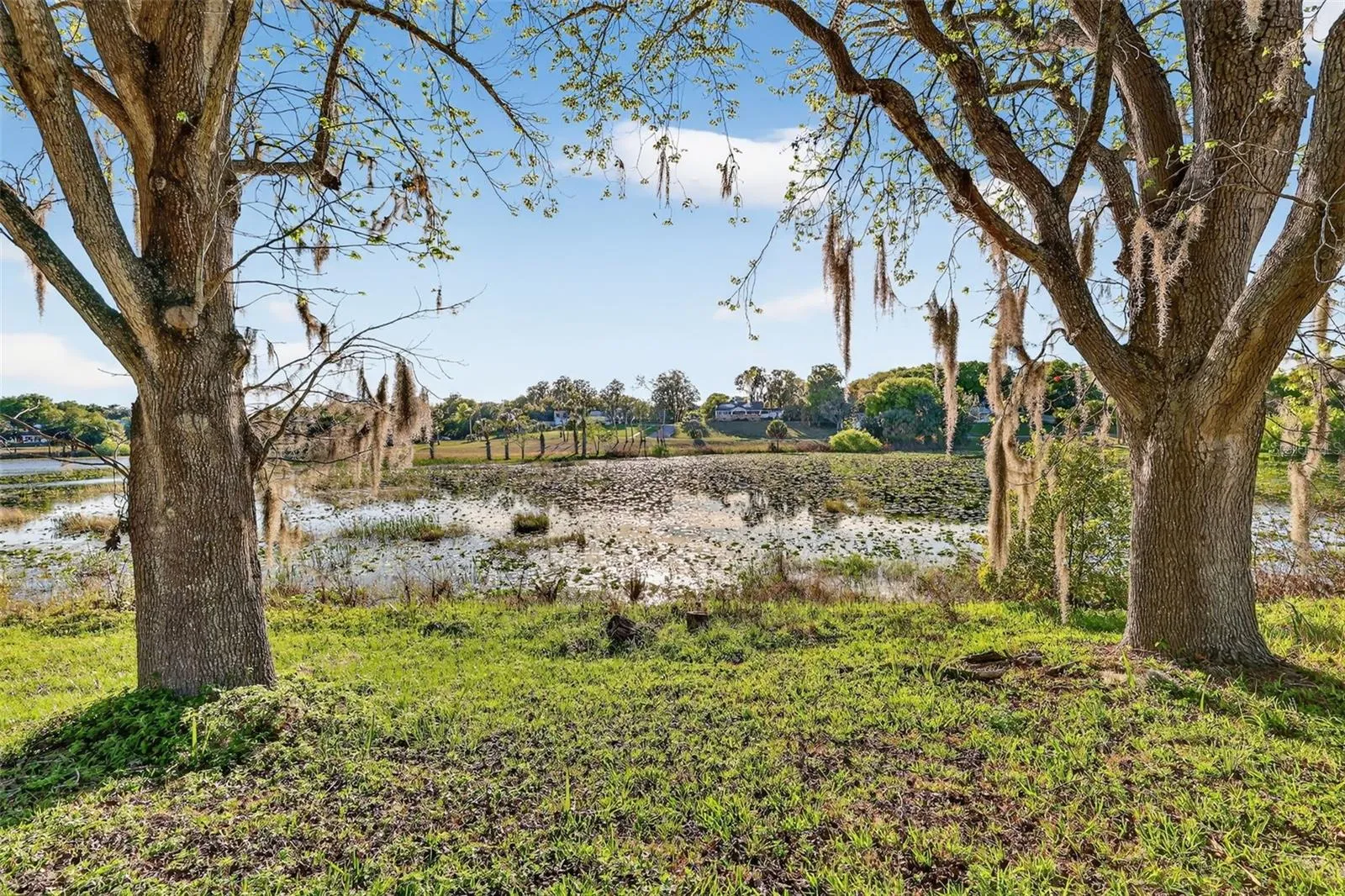 84Ft water frontage on Lake Gracie