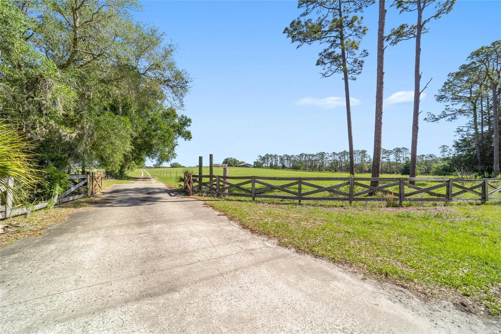 Driveway