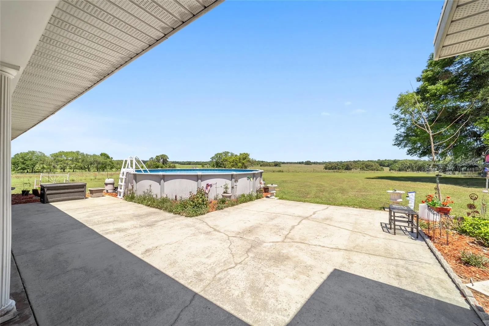 View from back door