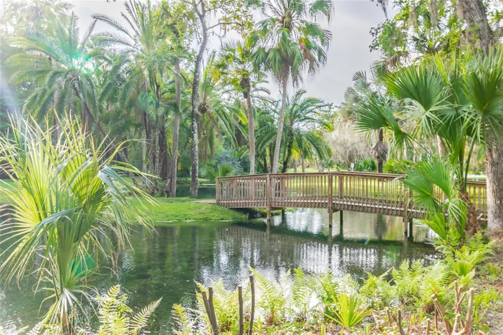 The Springs Park 2