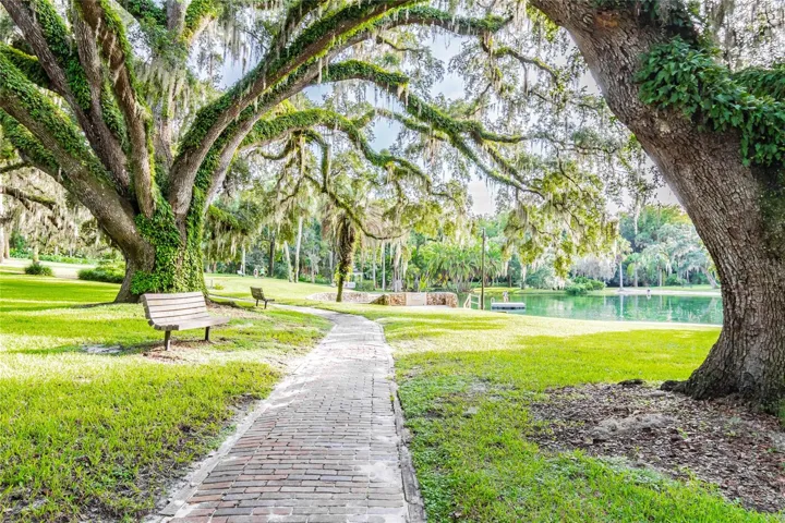 The Springs Park 3