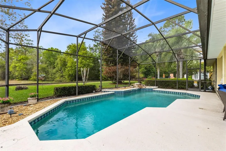 POOL AND CONSERVATION VIEW