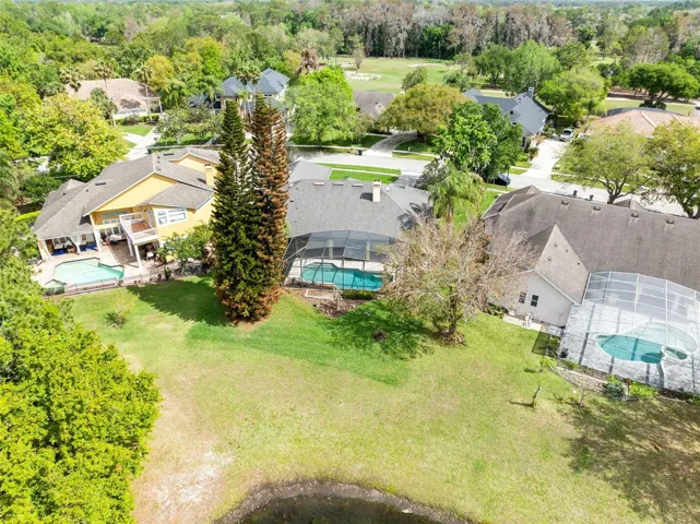 AERIAL OF THE BACK