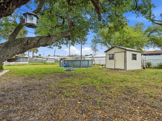 Backyard