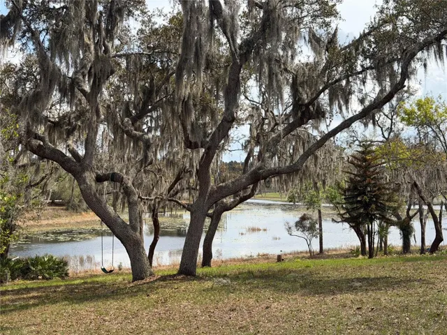 Beautiful backyard view of Lake Avalon.