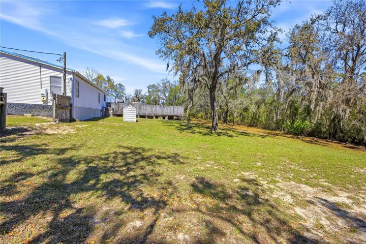 Side of yard facing the pool