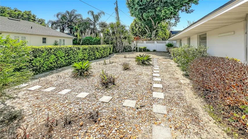 Back Garden