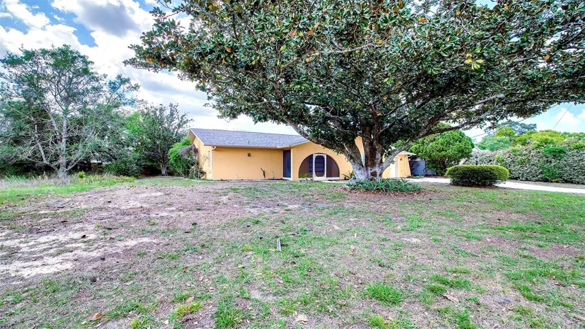 Front Yard