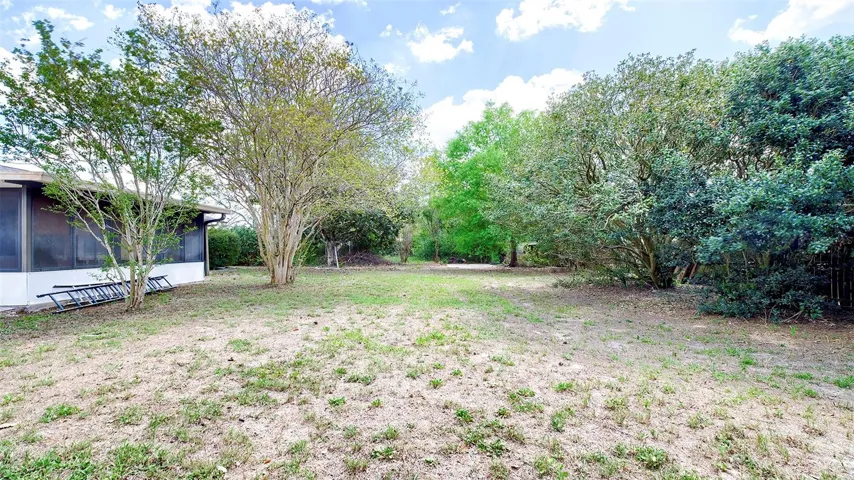 Rear Yard