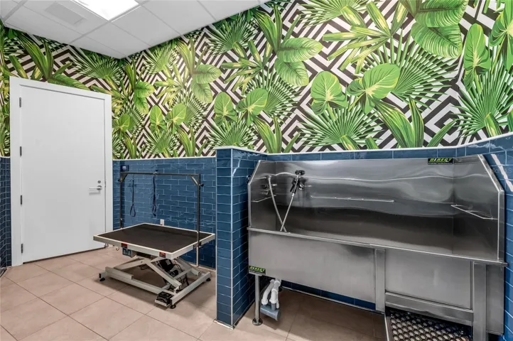 Dog Wash/Spa
