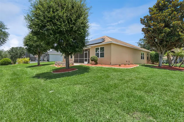 back lawn