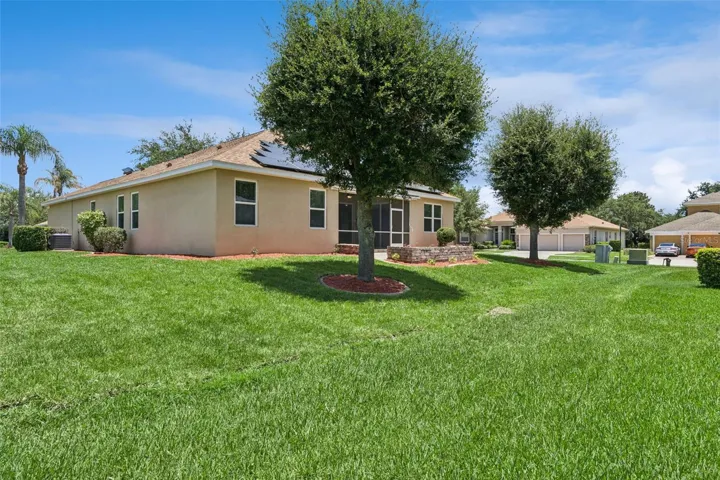 back lawn