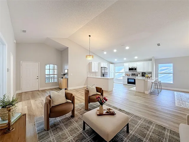 Living Room and Kitchen