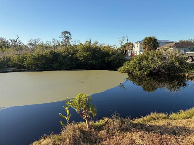 Pond behind the lot.
