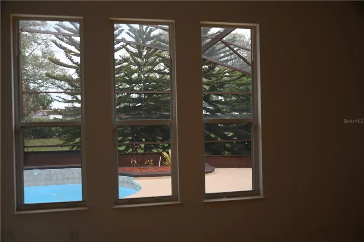 Living room windows