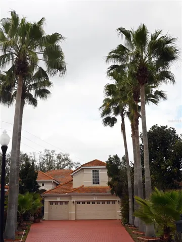 Front view with palm trees