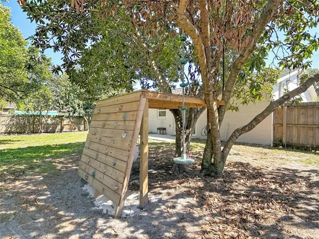 Rock climbing wall and mango tree fort