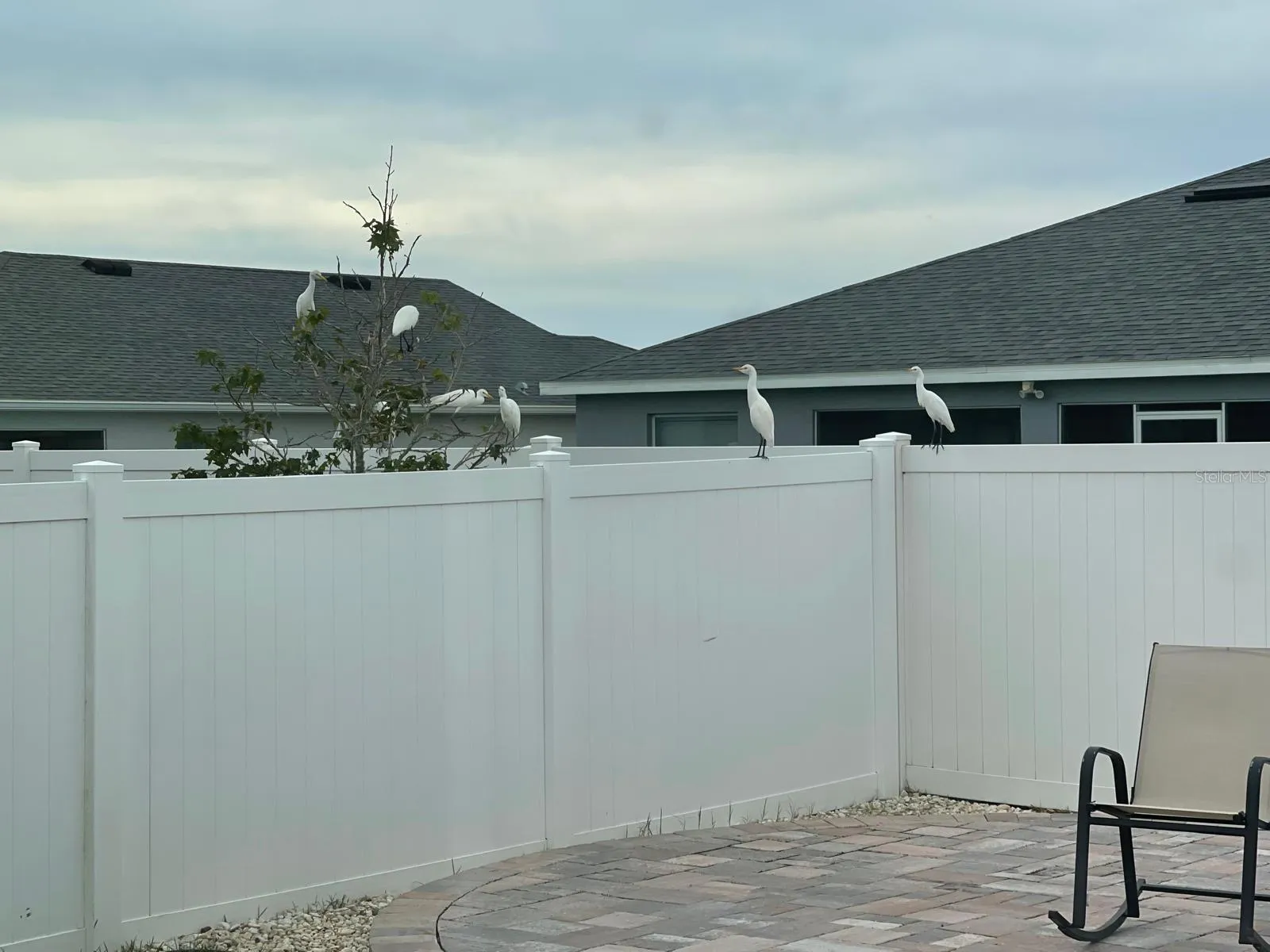 Patio - Fence
