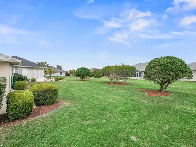 Beautiful Backyard