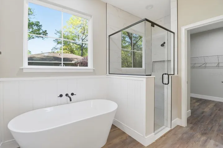 Master tub and shower