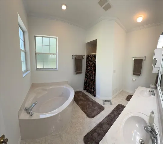 Master bath with garden tub
