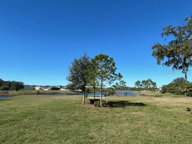 greenspace