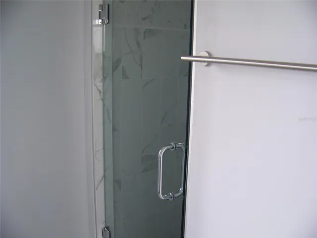 SHOWER DOOR