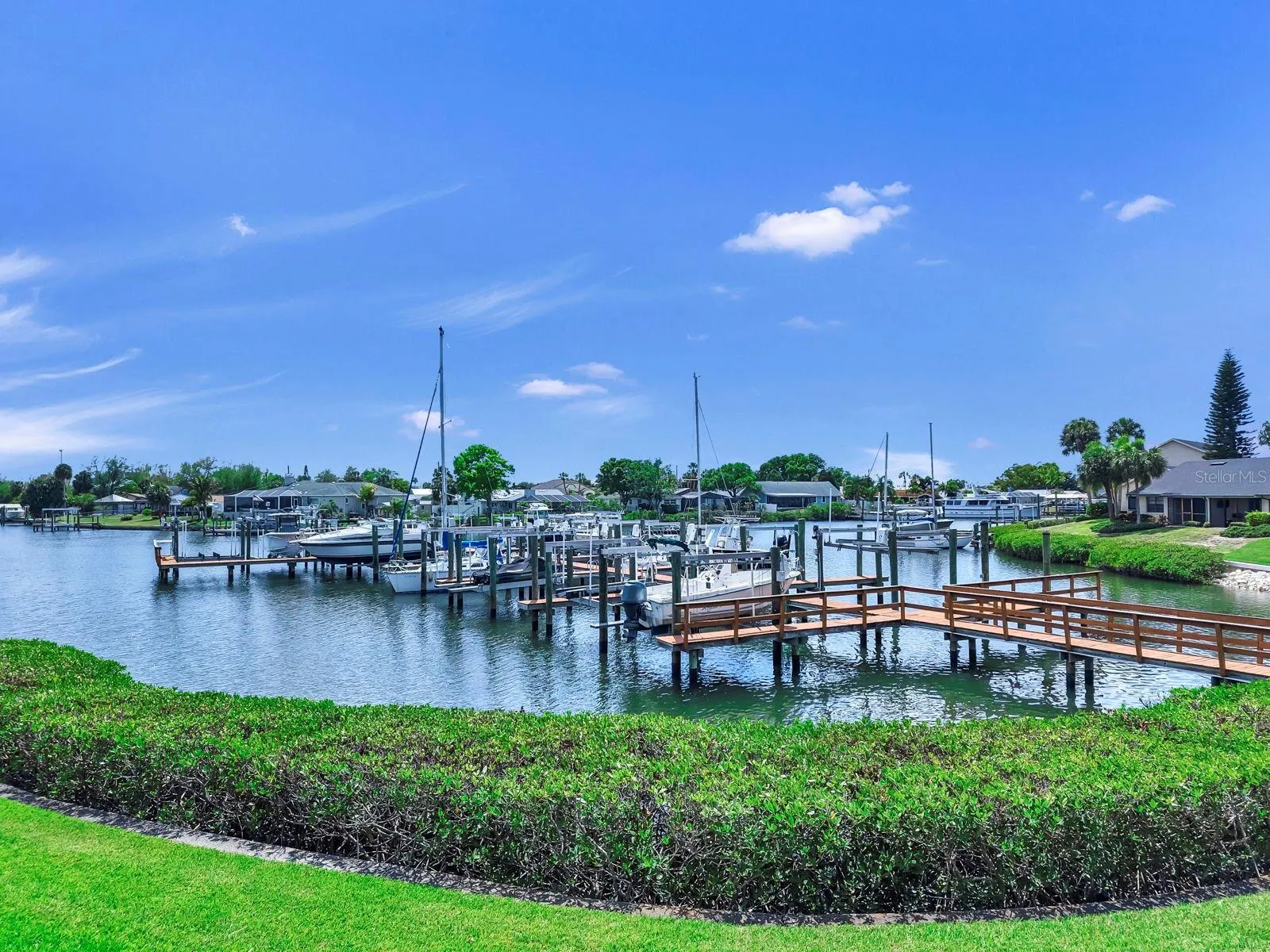 Backyard/Docks