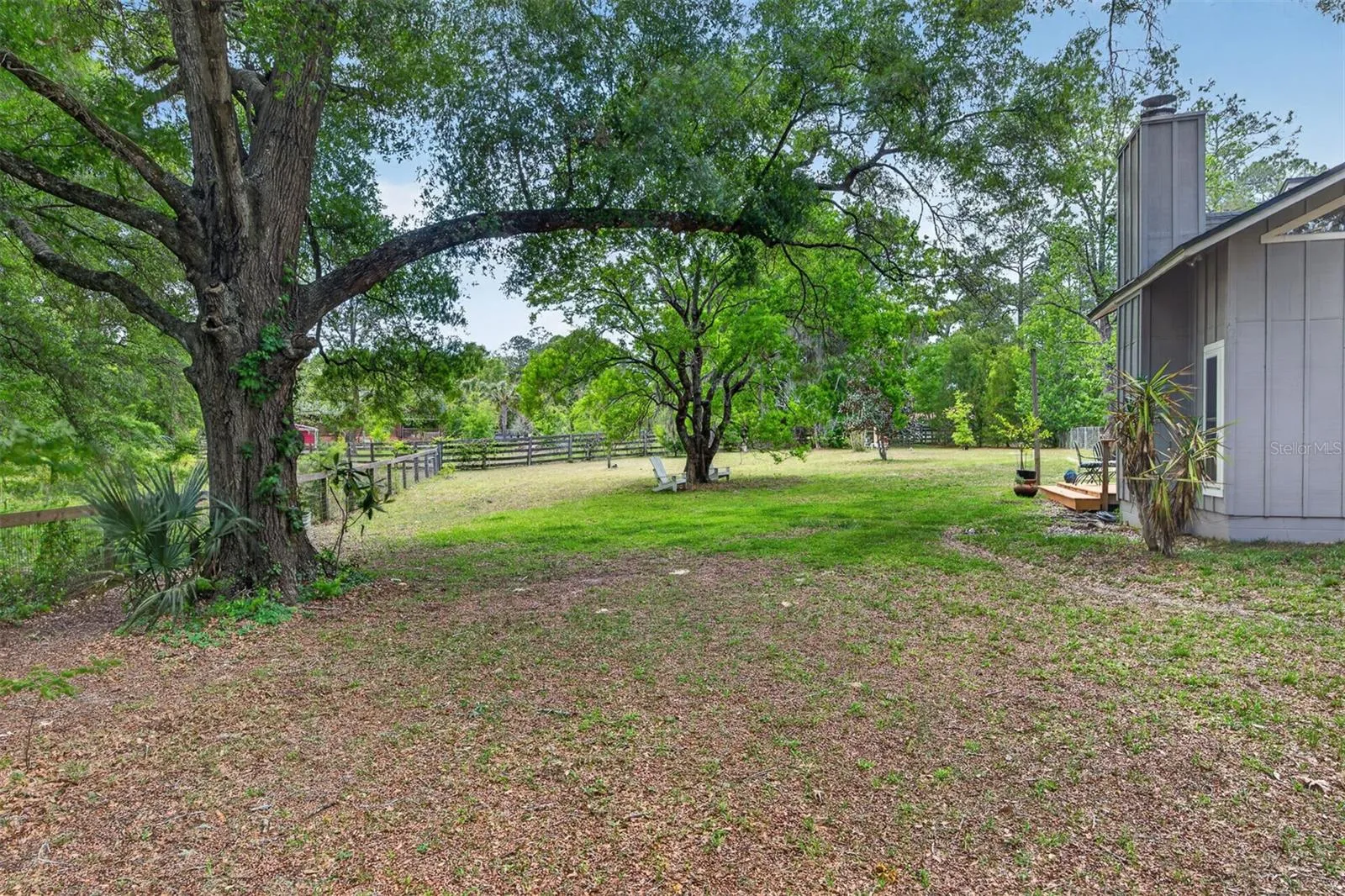 Back yard