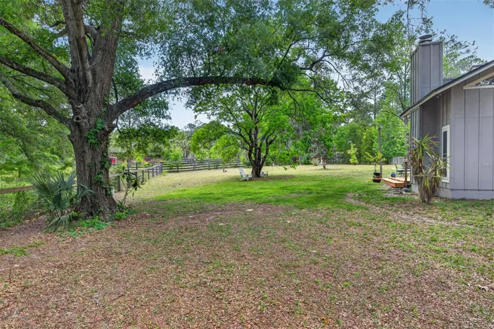 Back yard