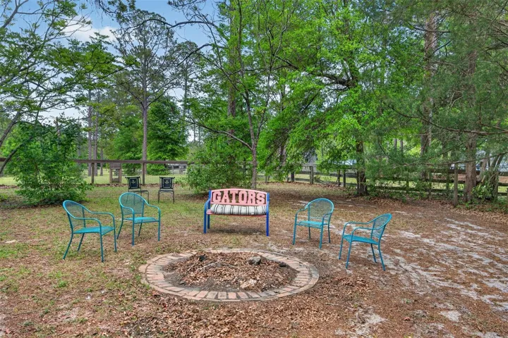 Back yard