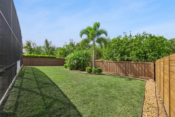 Spacious Backyard