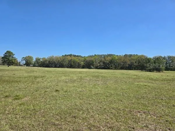 Pasture