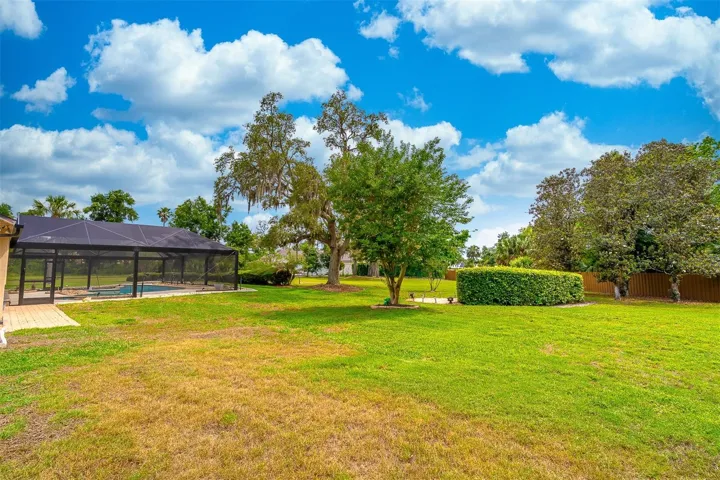 Tremendous Green Space
