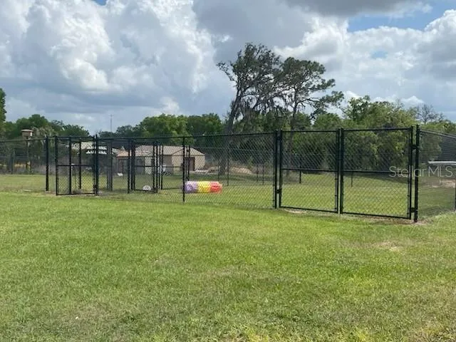 dog park