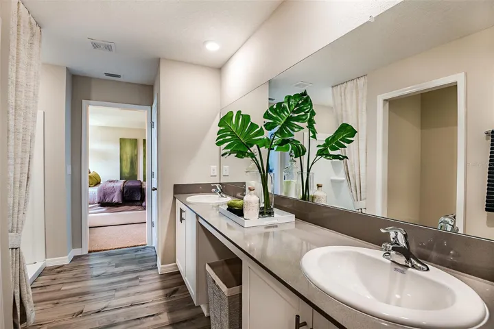 model home