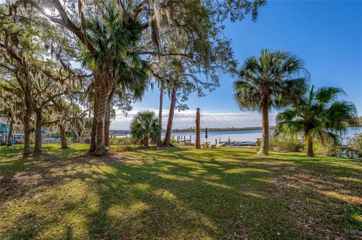 Spacious waterfront yard framed by towering trees and palms, offering a scenic setting with direct access to the water. The broad lawn provides plenty of room to enjoy the outdoors.