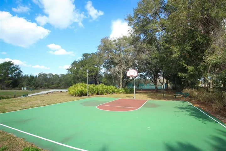 Community Basketball