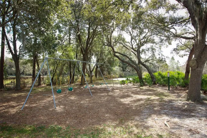 Community Playground