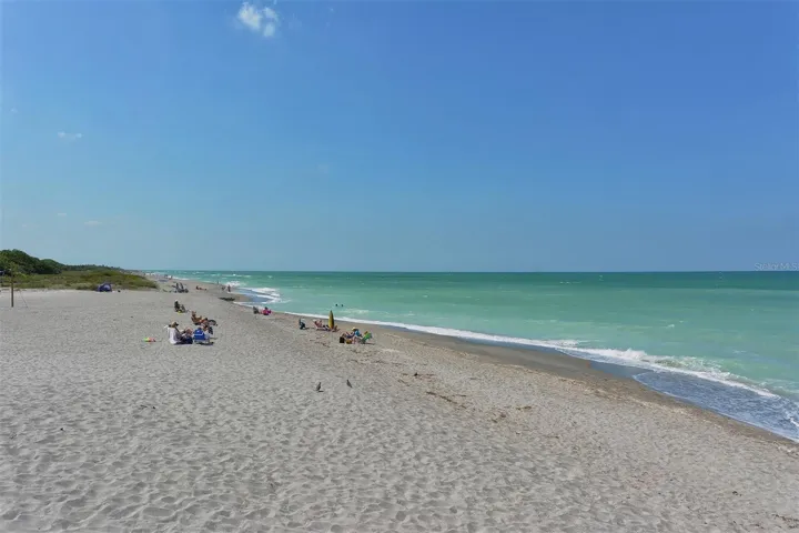 Shelling, swimming, shark tooth hunting