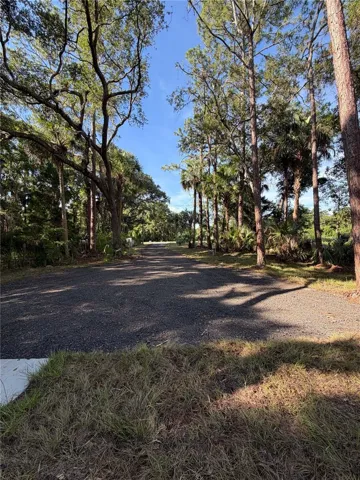 View from front yard