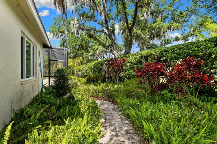 Side yard