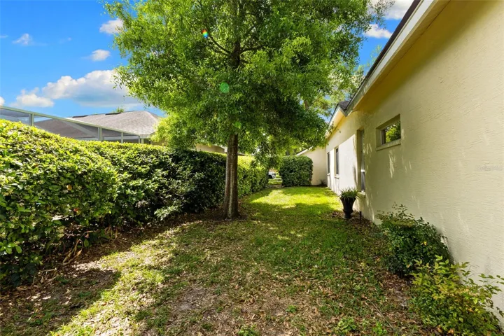 Side Yard