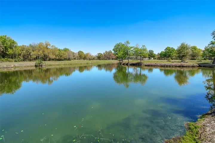 Serene pond