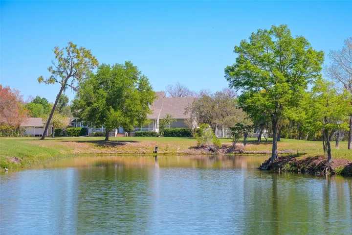 Your backyard... but better