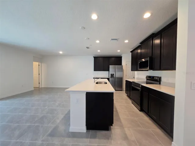 Kitchen / Great Room