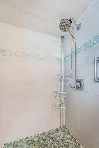 Walk-in Shower in Master Bath