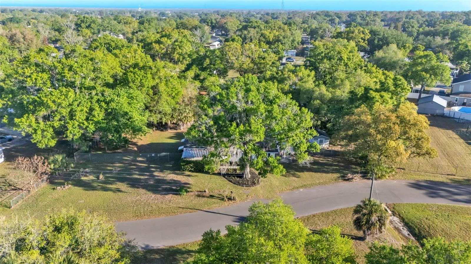 1317 W Belmar St, Lakeland, Florida 33815 — photo 32