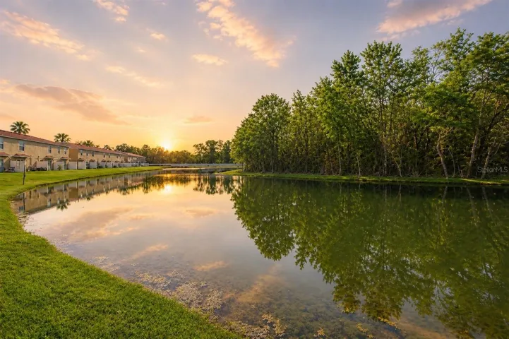 Beautiful/private pond view