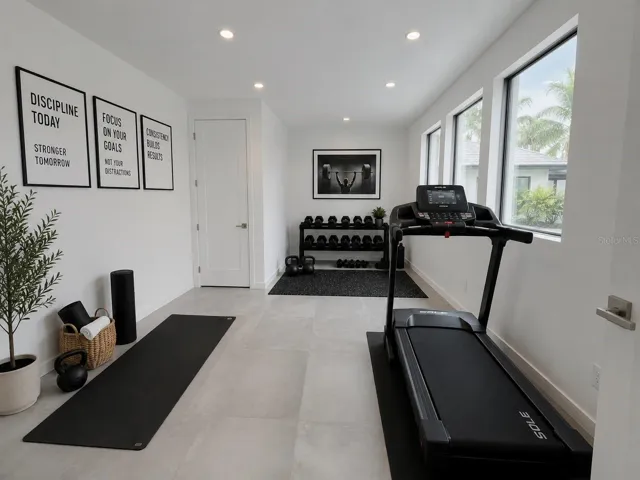 Private home gym with natural light.
